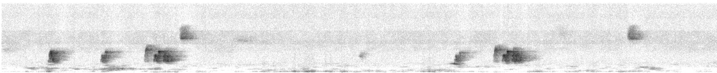 Olivaceous Elaenia - ML644545491