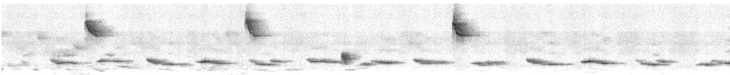 White-necked Thrush - ML644545497