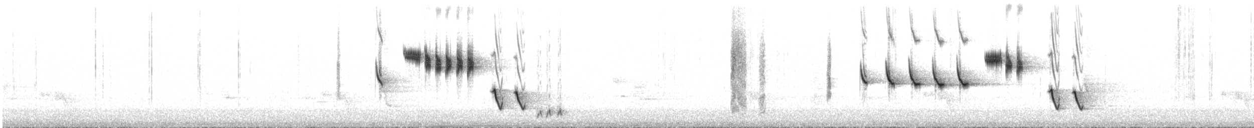 tasmantornsmett - ML644545644