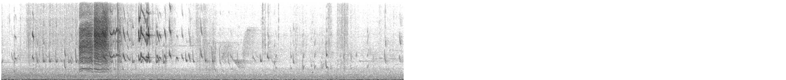 tasmanhonningeter - ML644545657