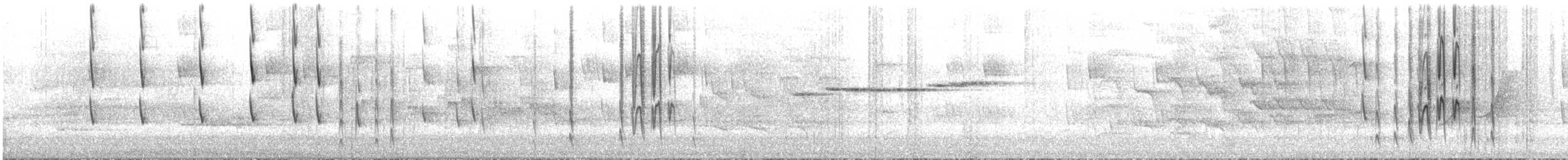 Strong-billed Honeyeater - ML644545667