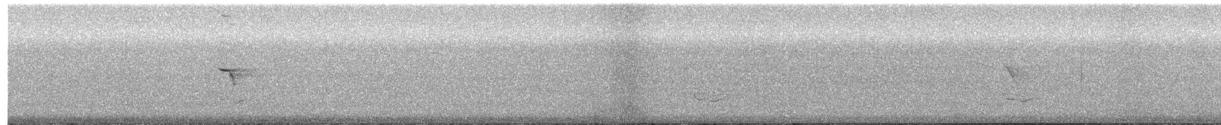 Восточная сиалия - ML644545934