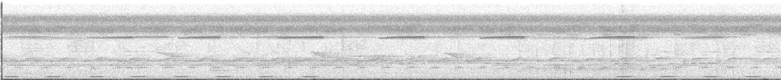 Hairy-breasted Barbet (Hairy-breasted) - ML644546585