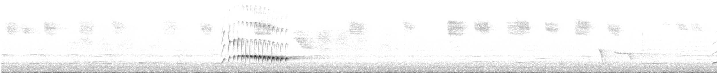 Fan-tailed Cuckoo - ML644546786