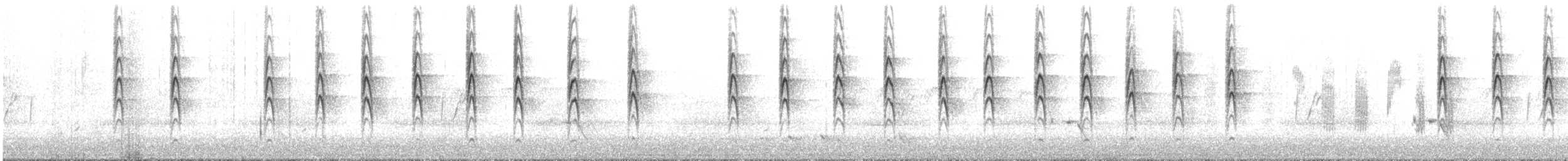 Gray Fantail - ML644546813