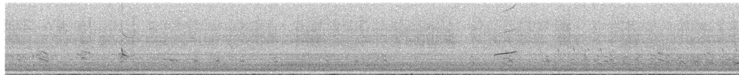 Weißscheckenentyrann - ML644547341