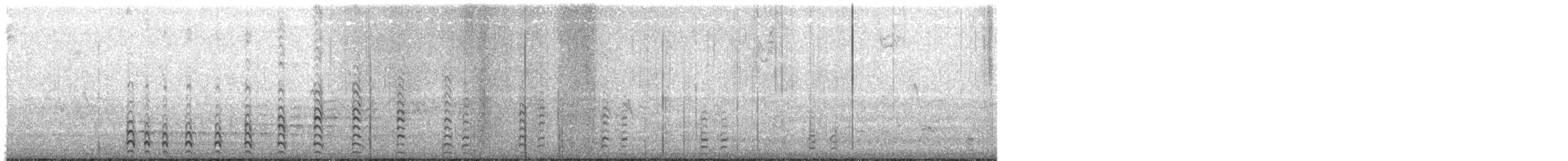 סופית אמריקנית - ML644547485