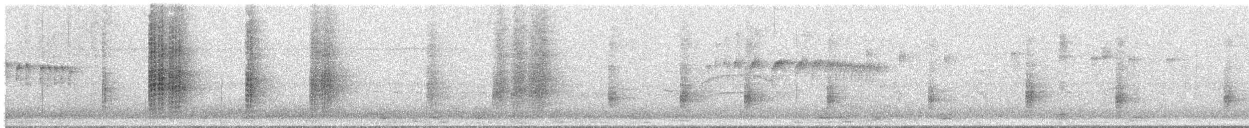 Amazonasfischer - ML644547506