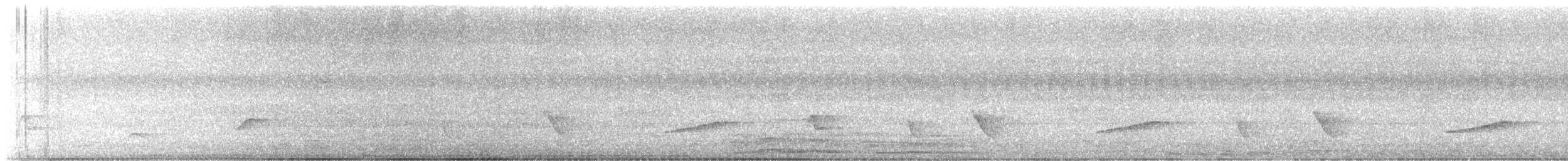 Horsfieldmausdrossling - ML644547720