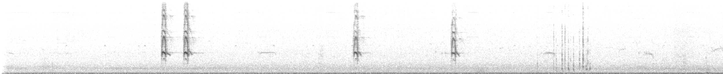 Bootschwanzgrackel - ML644547967