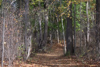 Lytle Nature Preserve, Niagara, New York, United States - eBird Hotspot