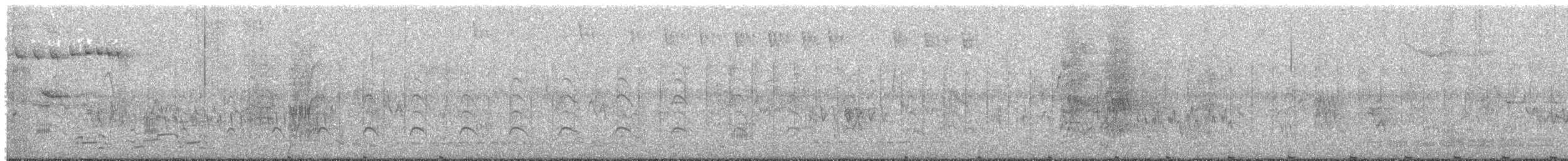 Plumbeous Rail - ML644548623