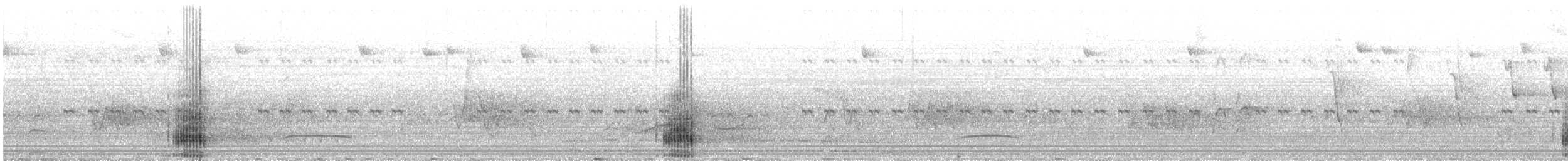 オニオオハシ - ML644548957