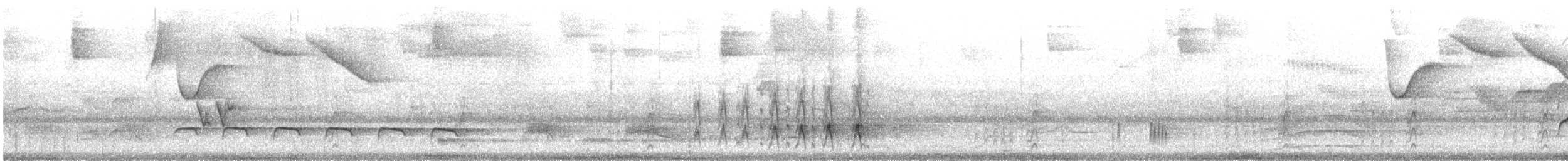 White-shouldered Fire-eye - ML644548979