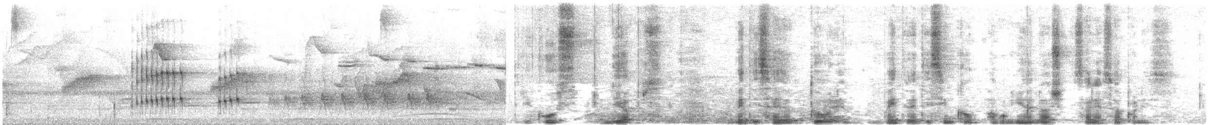 Drab-breasted Pygmy-Tyrant - ML644548992