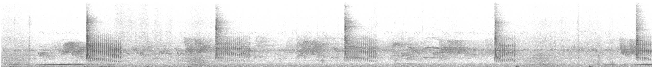 Small-billed Elaenia - ML644549039