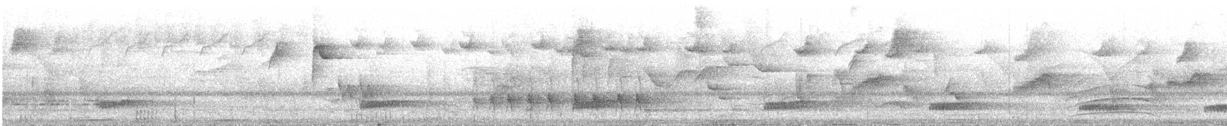 Tataupa Tinamou - ML644549110