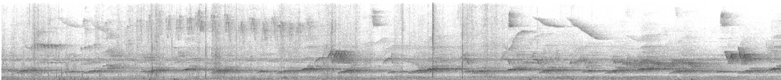 Slaty-breasted Wood-Rail - ML644549121