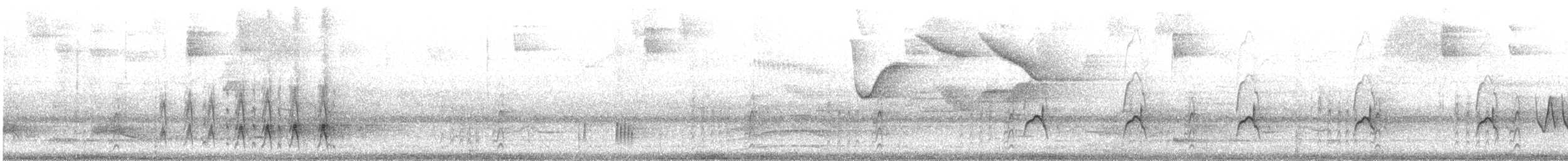 White-collared Foliage-gleaner - ML644549217