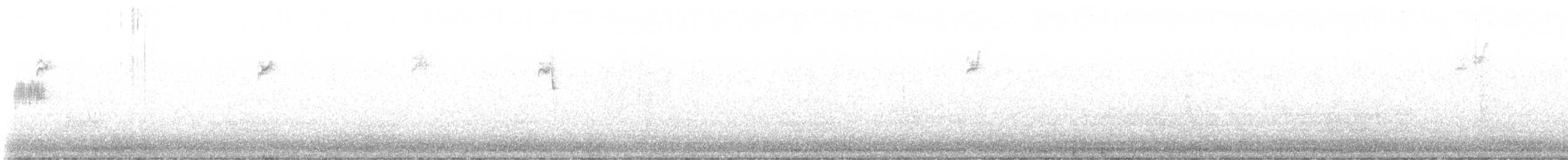 White-crowned Sparrow - ML644550560