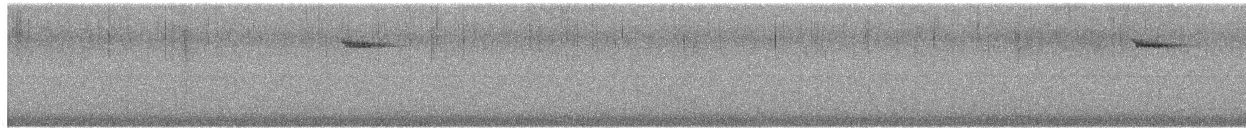 Agateador Americano - ML644551888