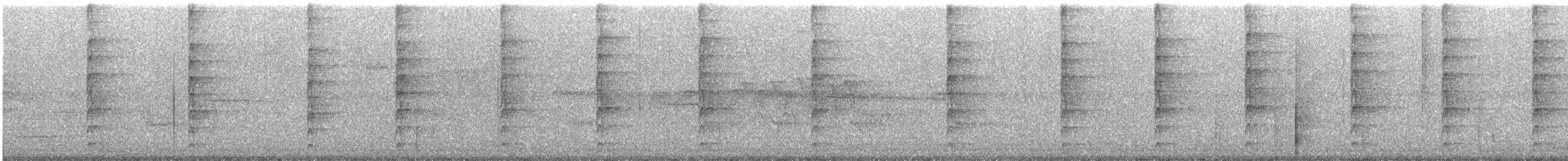 stripetyrann - ML644552949