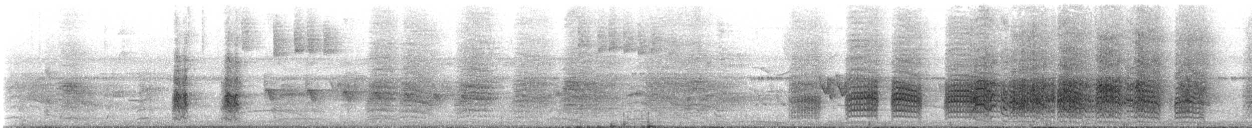 Conure couronnée - ML644553167