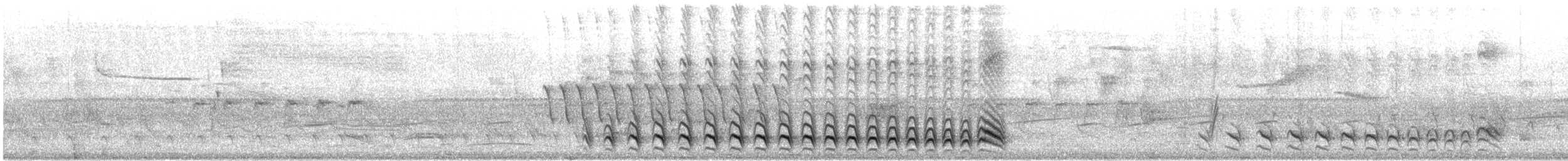 Batara rayé - ML644553179