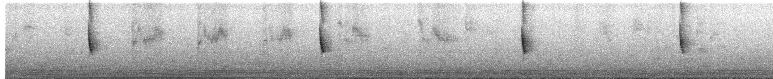 Bruant à couronne dorée - ML644553185