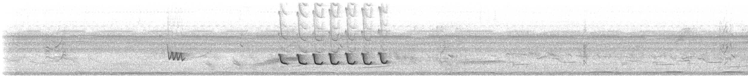 Bécarde à ailes blanches - ML644553190