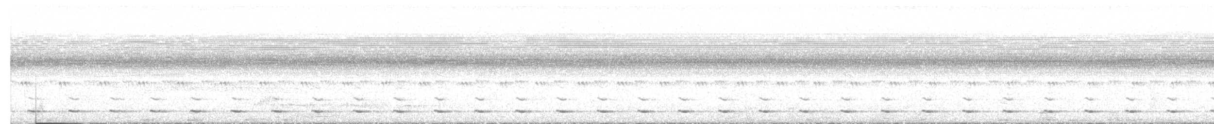 Chevêchette brune - ML644553225