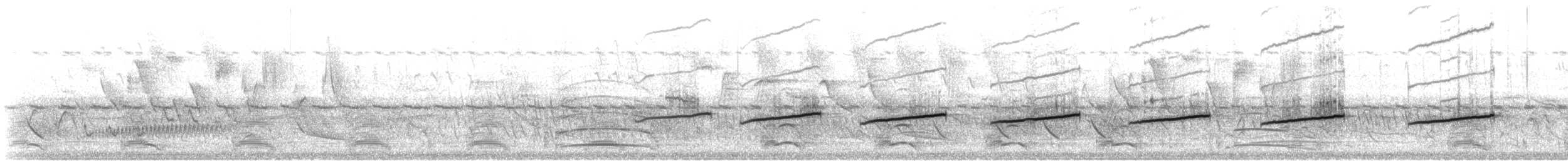 Sporophile à ventre blanc - ML644553262