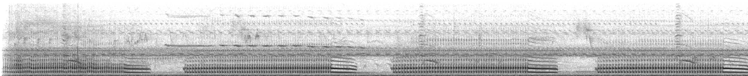 Râle plombé - ML644553293