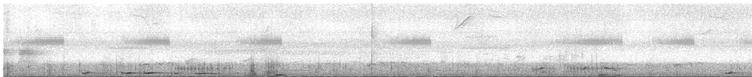 Plumbeous Pigeon - ML644553551