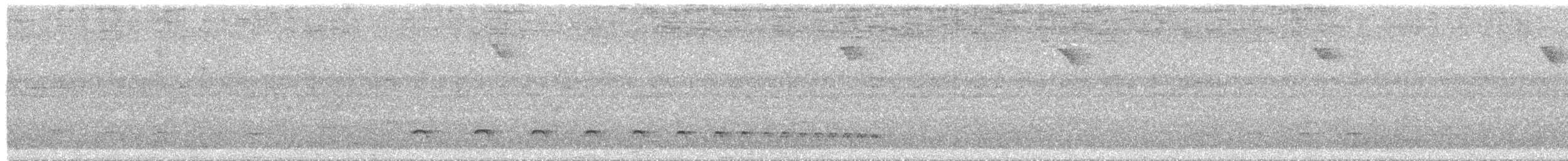 Plain Antvireo - ML644553579