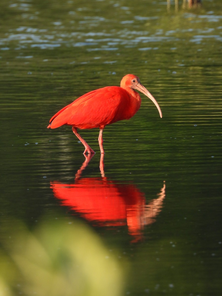 Al Aynak - ML644553853