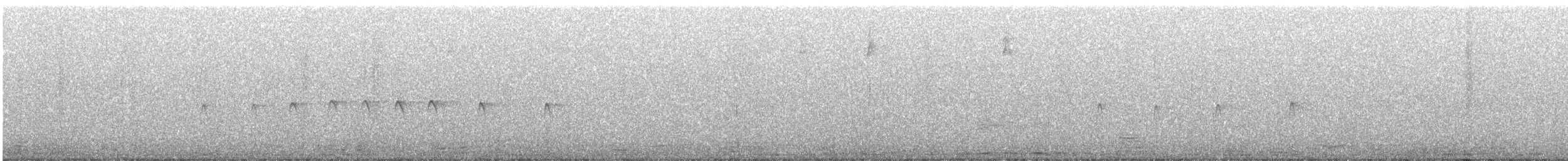 pygméspettmeis - ML644554121