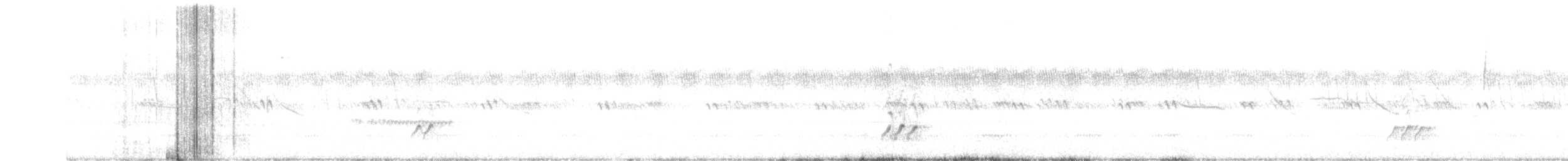 præriesnipe - ML644554727