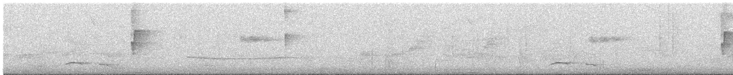 dvergflatnebb - ML644554731