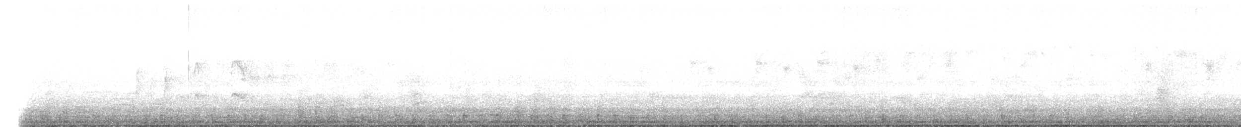 hvitstrupetyrannulett - ML644554775