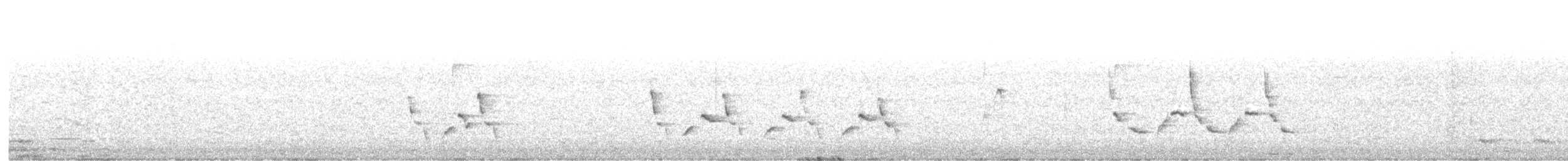 Carolina Wren - ML644555864