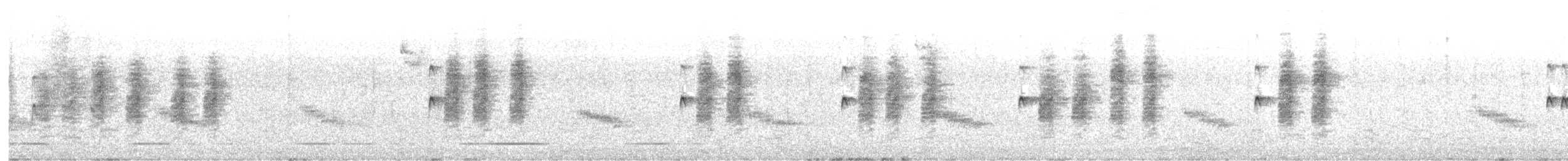 Carolina Wren - ML644556150