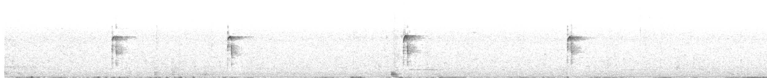 Hairy Woodpecker - ML644556312