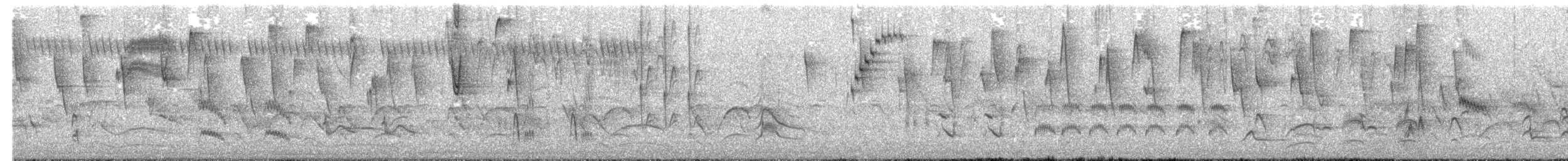 Pale-breasted Thrush - ML644556323