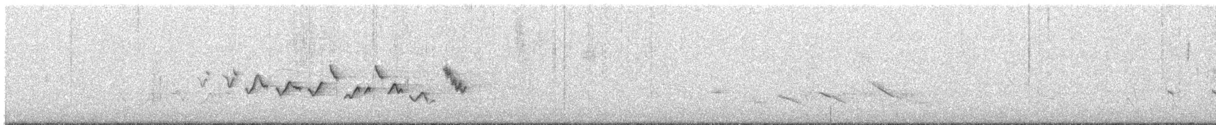 Paruline voilée - ML644556354