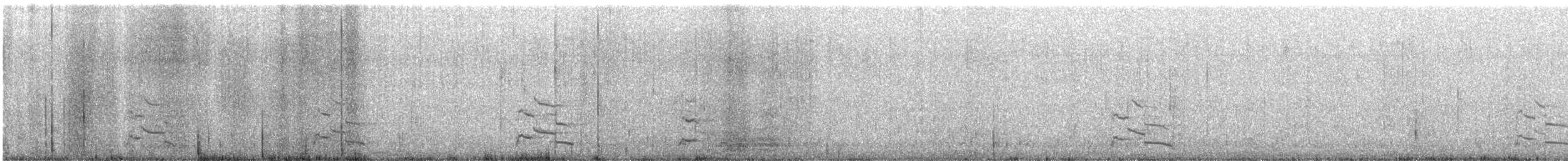 American Herring Gull - ML644556383