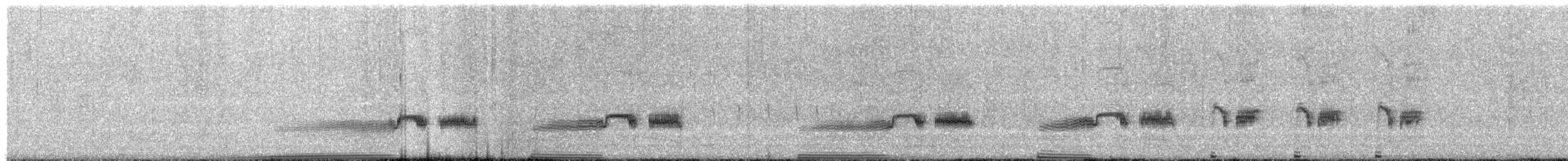 Plumbeous Rail - ML644556393