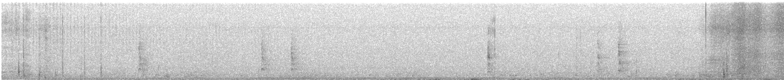 シマセゲラ - ML644556423