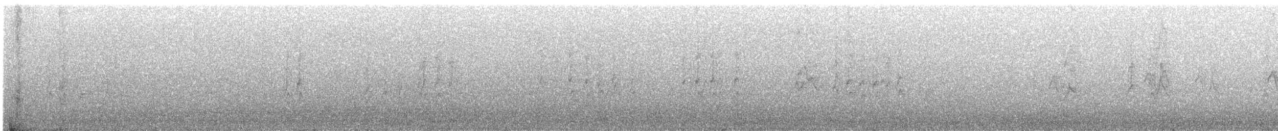 Pine Siskin - ML644556525