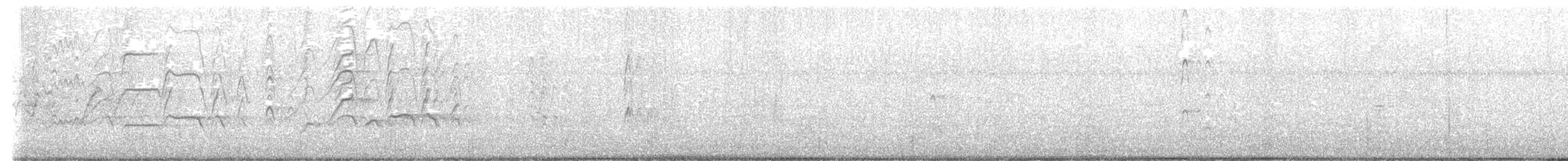 Black-bellied Whistling-Duck - ML644556927